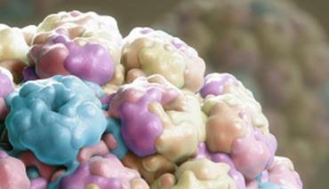 Science: экспериментальный препарат TIP снизила уровень ВИЧ приматов